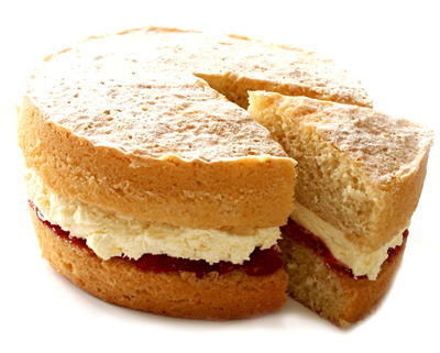 Sponge Sponge